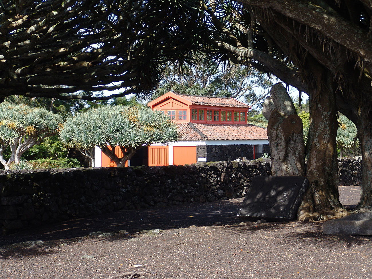 lorem ipsum dolor sit