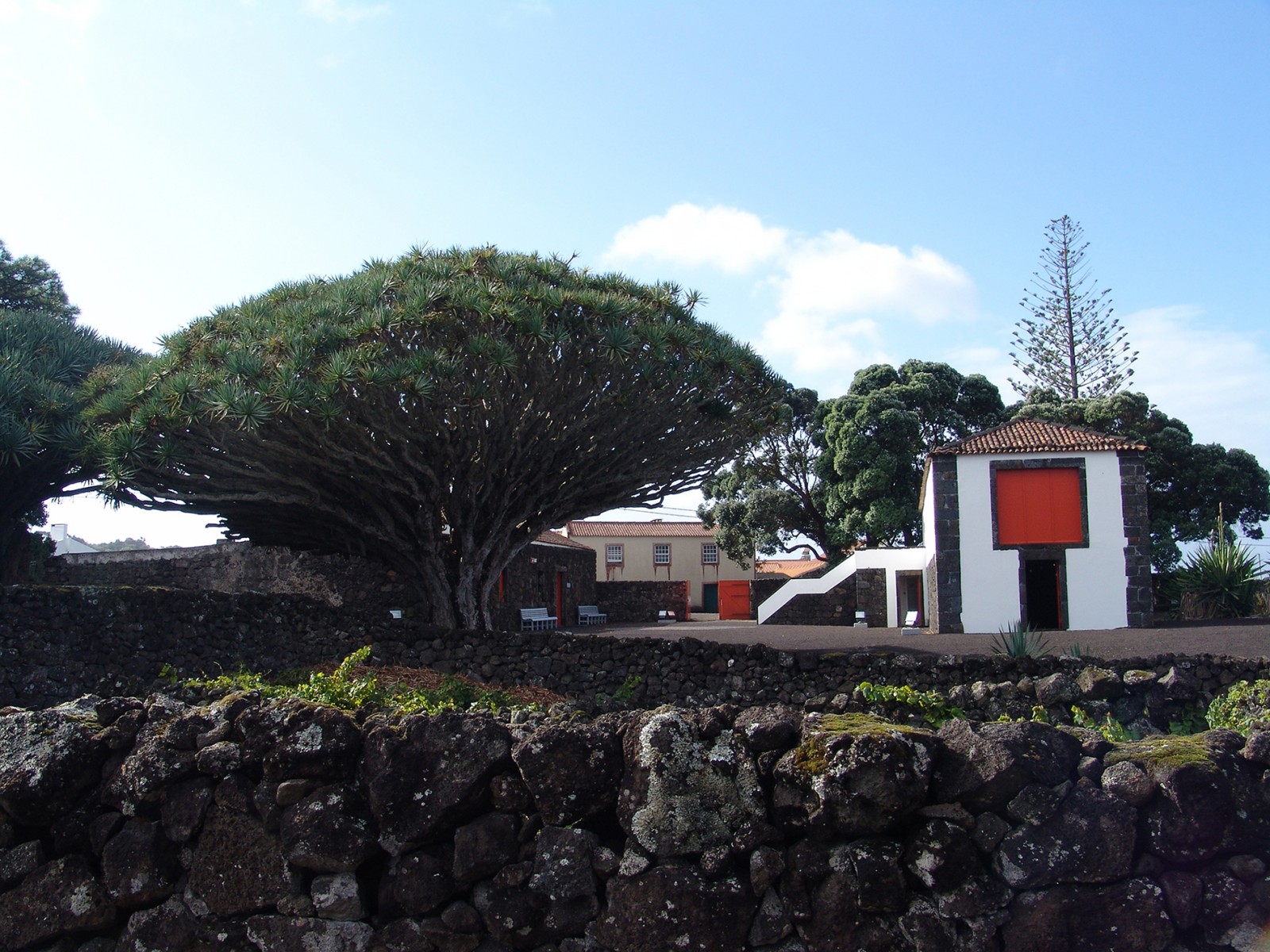 lorem ipsum dolor sit