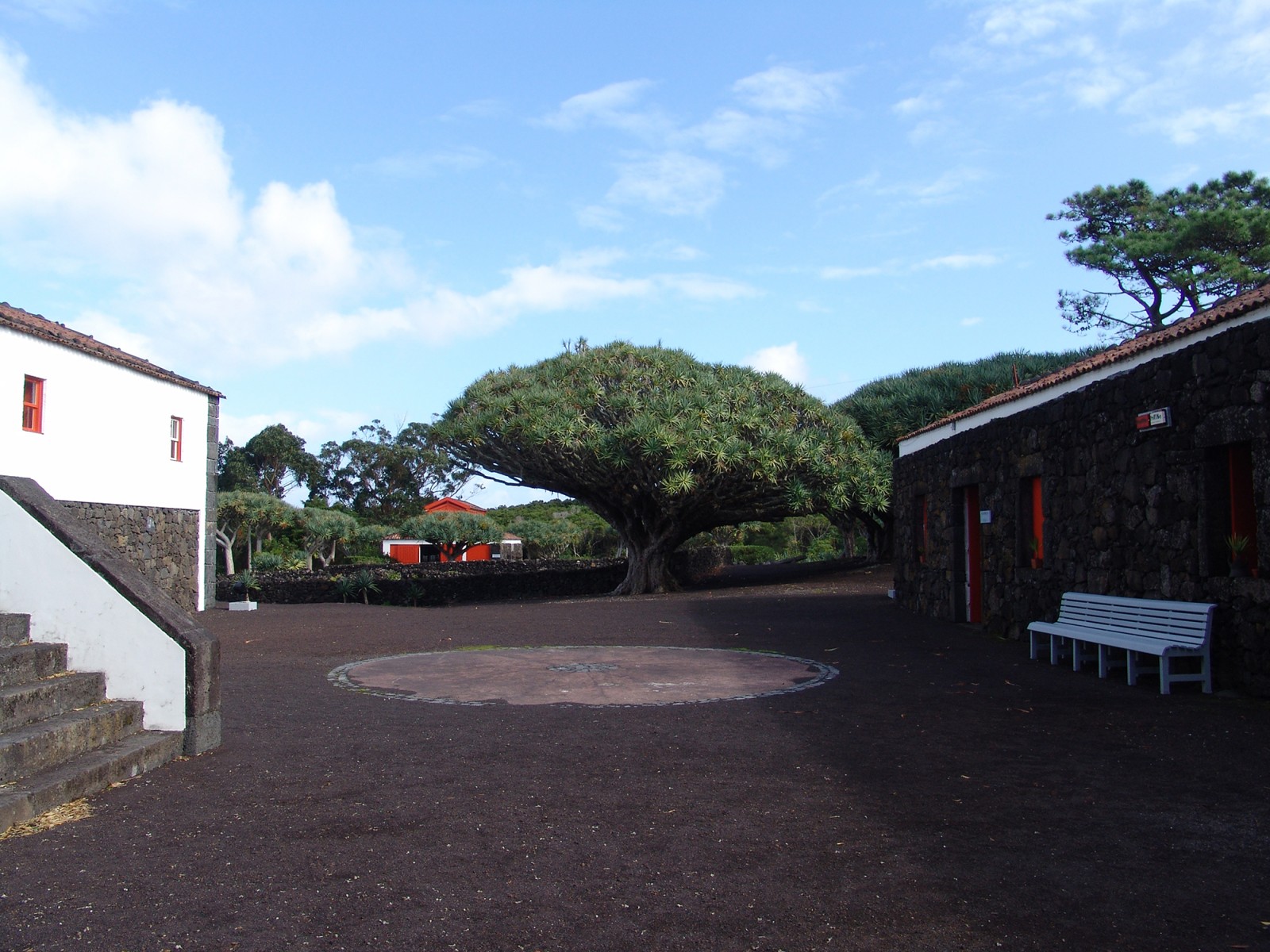 lorem ipsum dolor sit