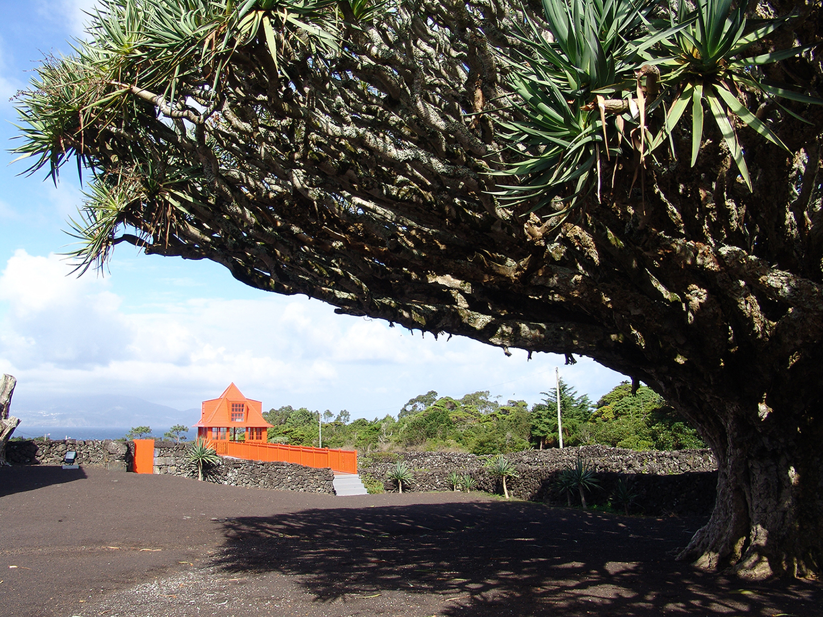 lorem ipsum dolor sit