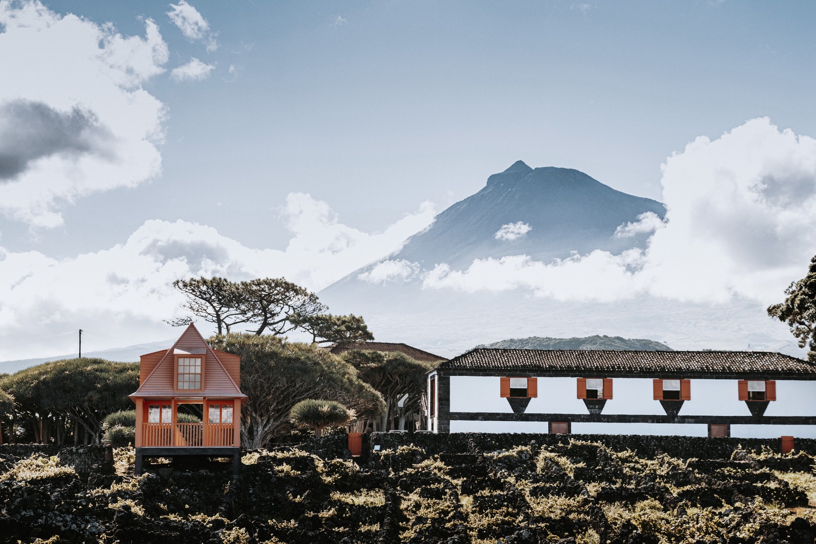 lorem ipsum dolor sit